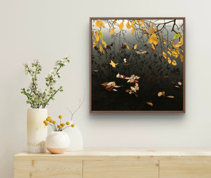Mirror of Autumn Competition