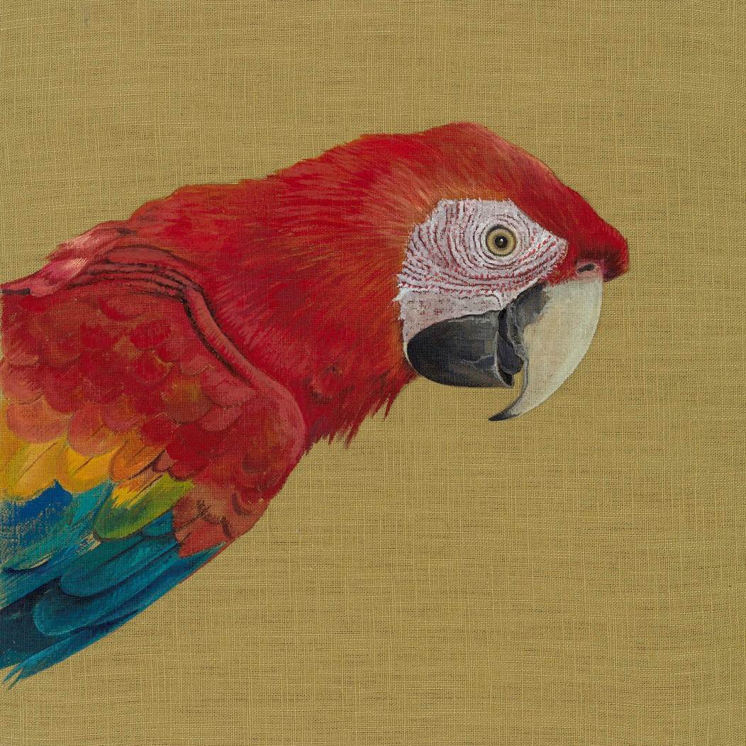 Scarlett Silver Tongue