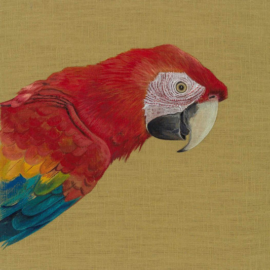 Scarlett Silver Tongue