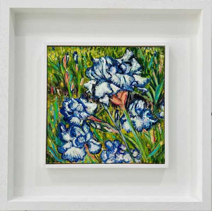 Blue and White Irises
