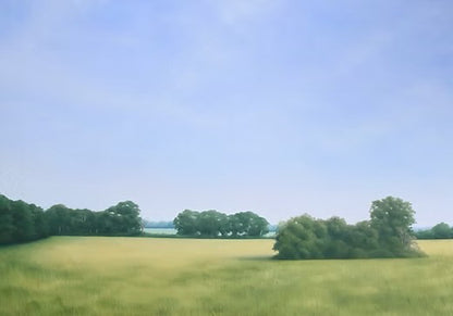 June Morning Haze
