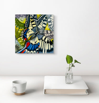 Swallowtail