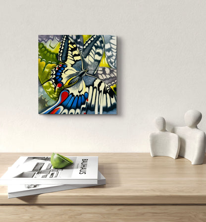 Swallowtail
