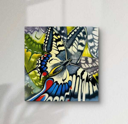 Swallowtail