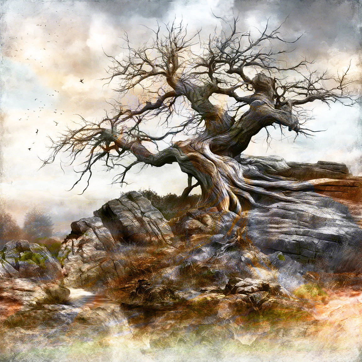 Lone Tree I (framed)