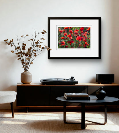 Poppy field, Gioella, Umbria (framed)