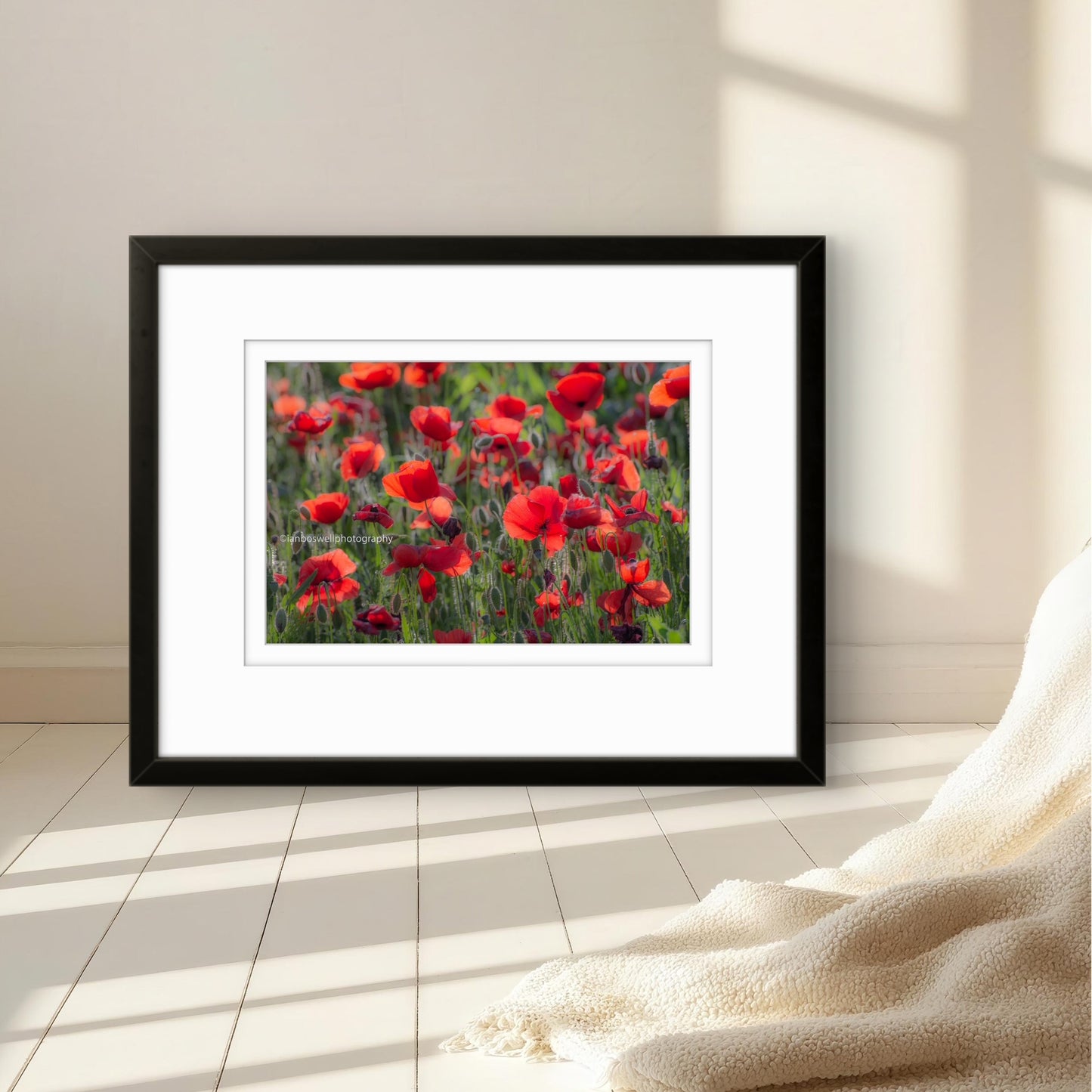 Poppy field, Gioella, Umbria (framed)