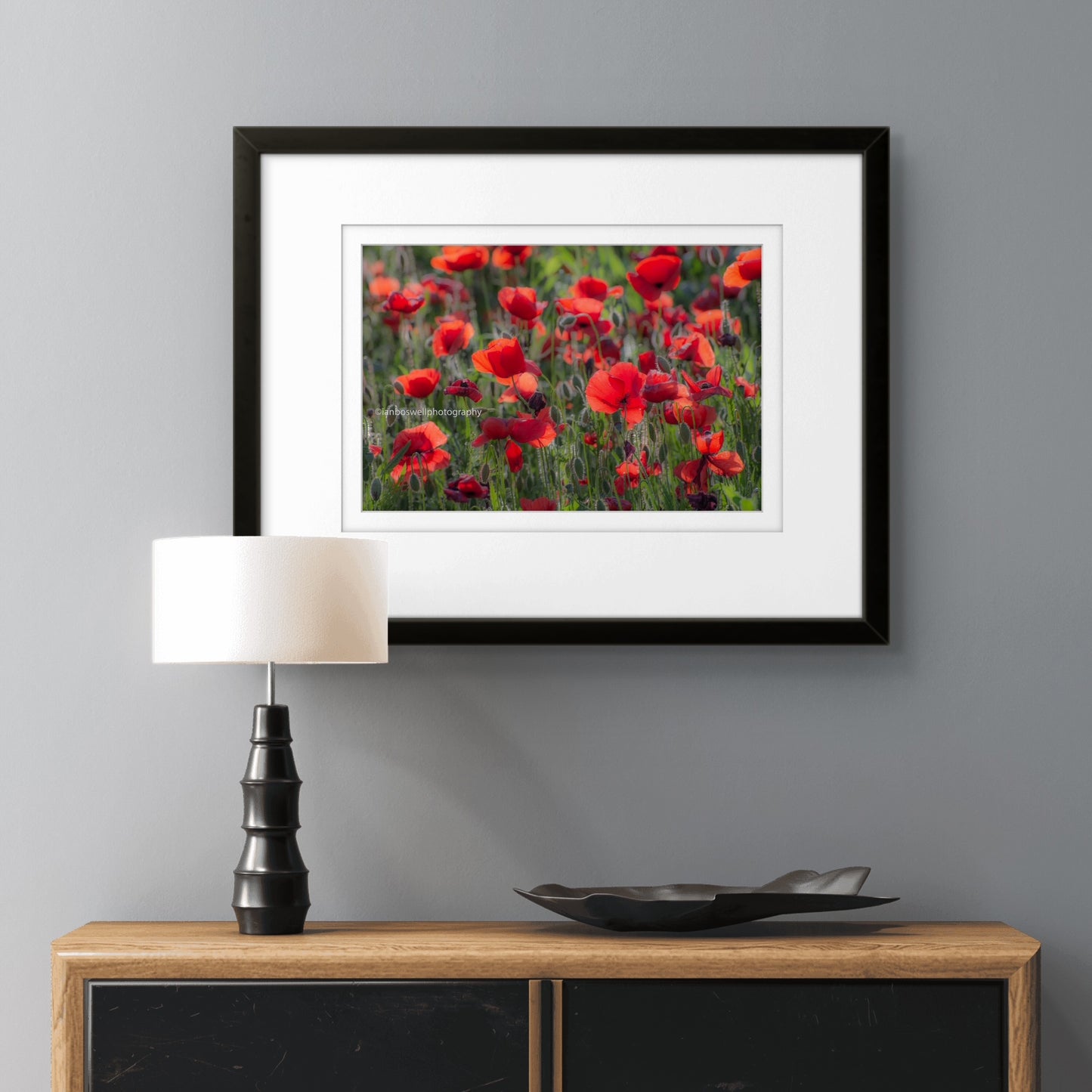 Poppy field, Gioella, Umbria (framed)