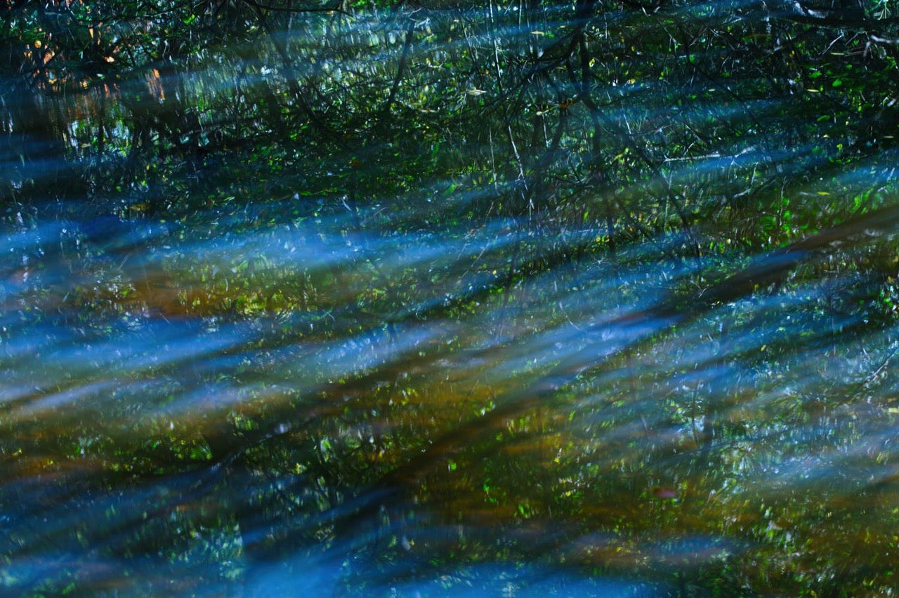 Reflections of Autumn