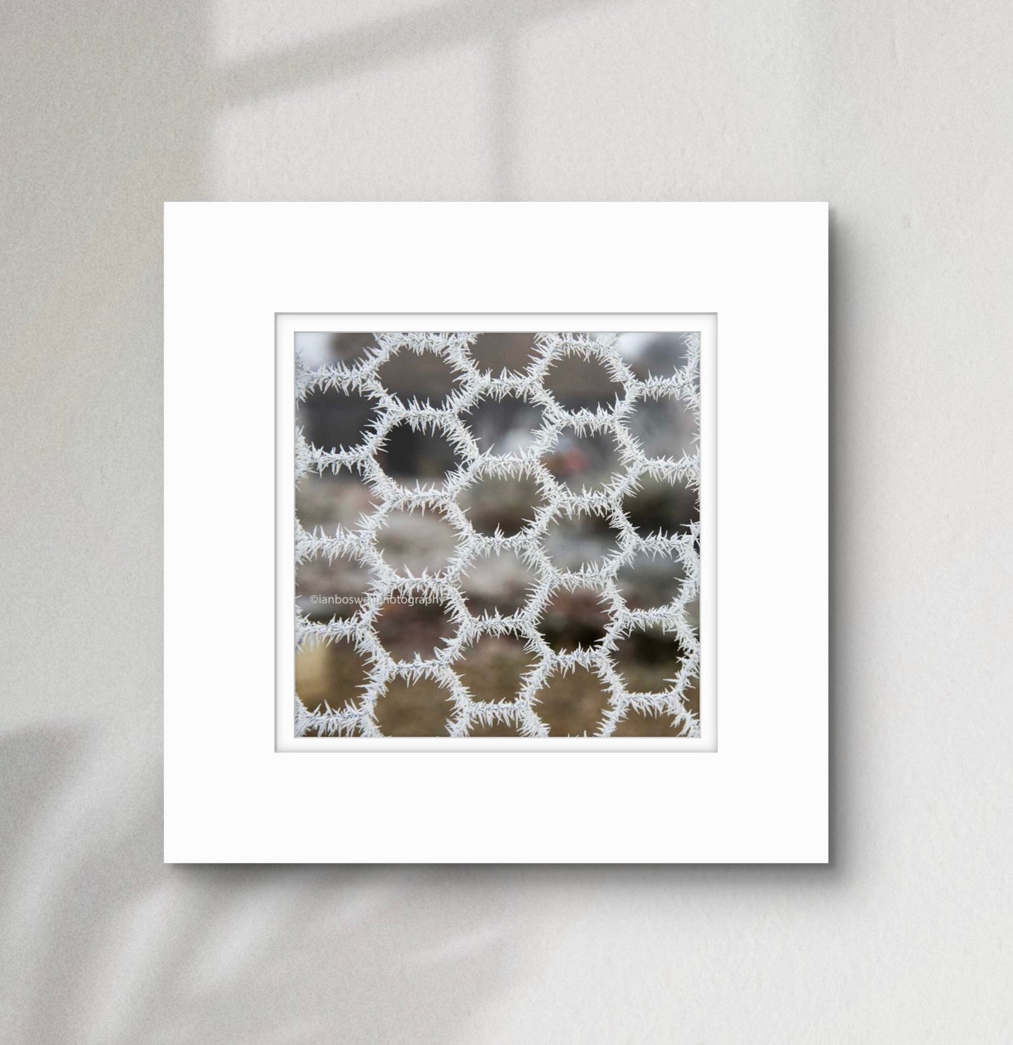 Hoar frost on chicken wire