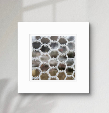 Hoar frost on chicken wire