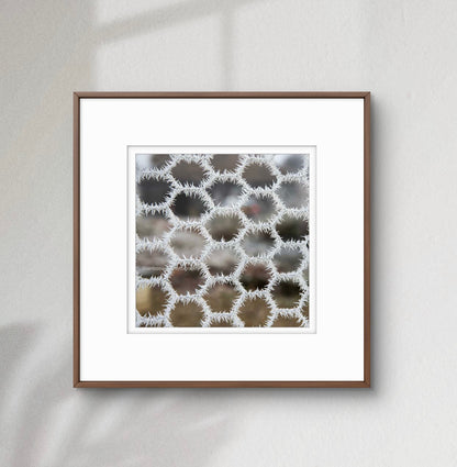 Hoar frost on chicken wire