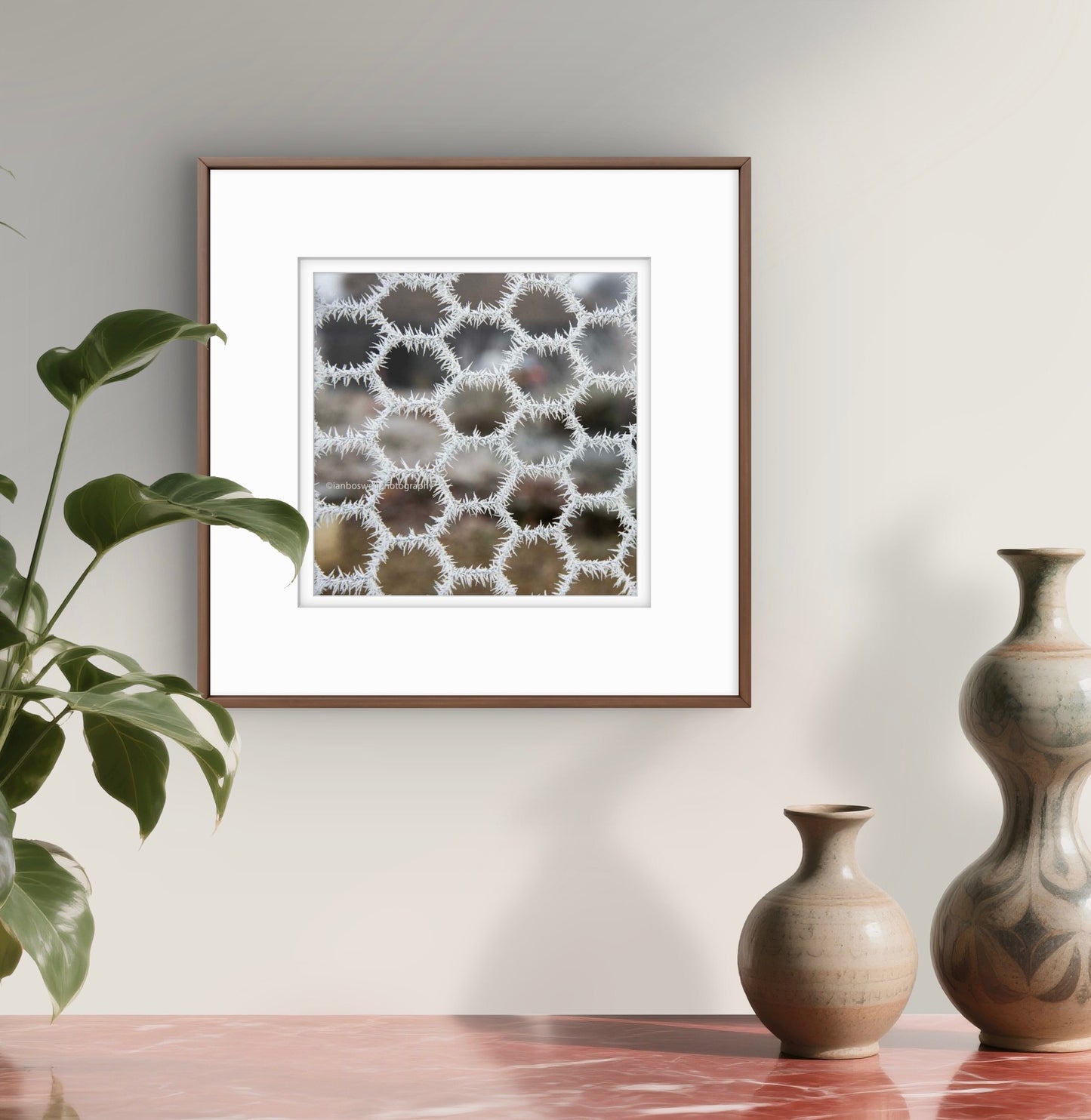 Hoar frost on chicken wire