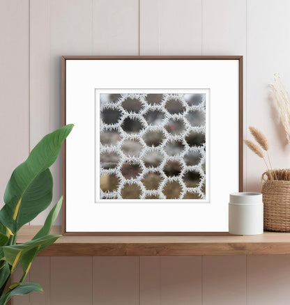 Hoar frost on chicken wire