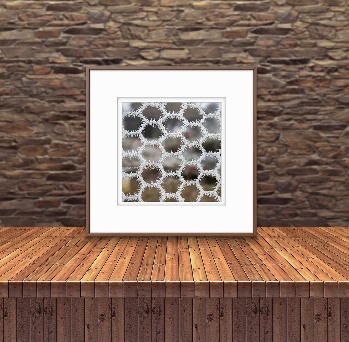 Hoar frost on chicken wire