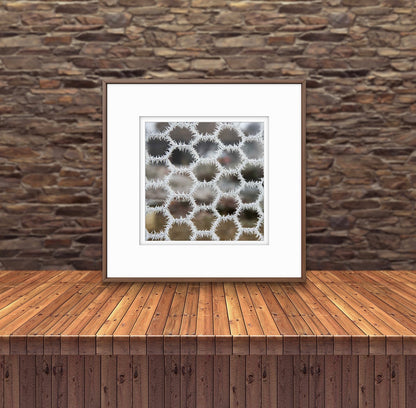 Hoar frost on chicken wire