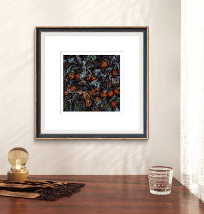 3 Months after the pickers have gone