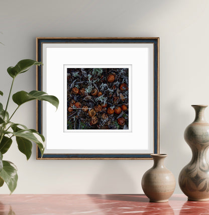 3 Months after the pickers have gone