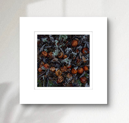 3 Months after the pickers have gone