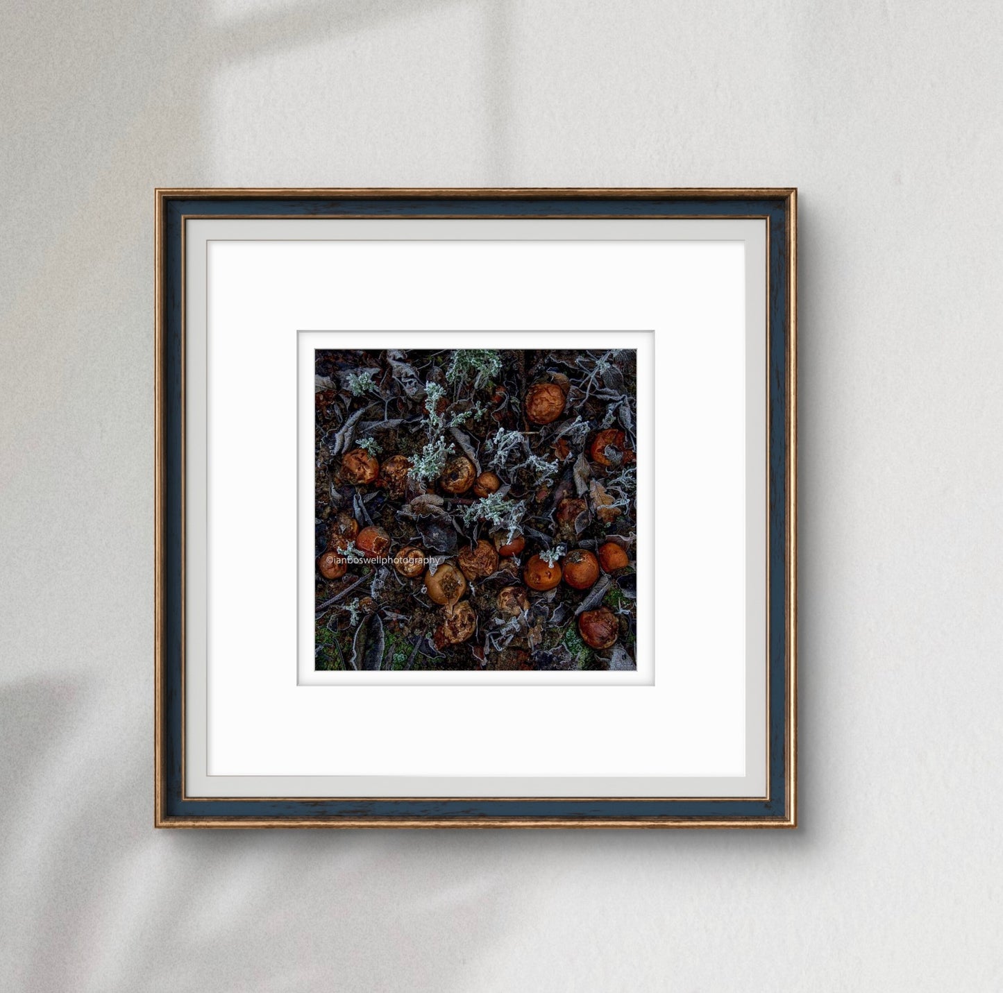 3 Months after the pickers have gone