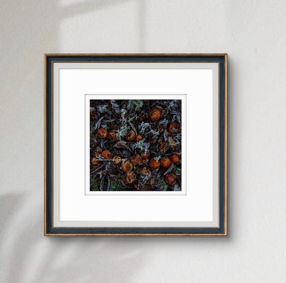 3 Months after the pickers have gone