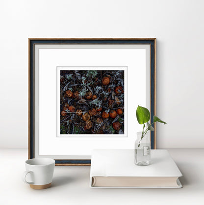 3 Months after the pickers have gone