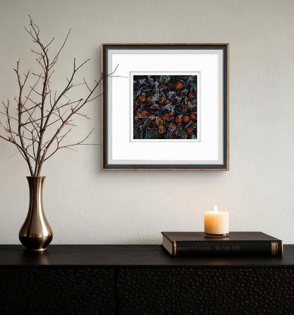 3 Months after the pickers have gone