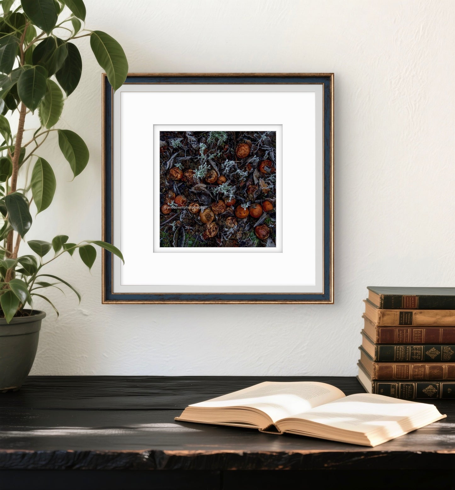 3 Months after the pickers have gone