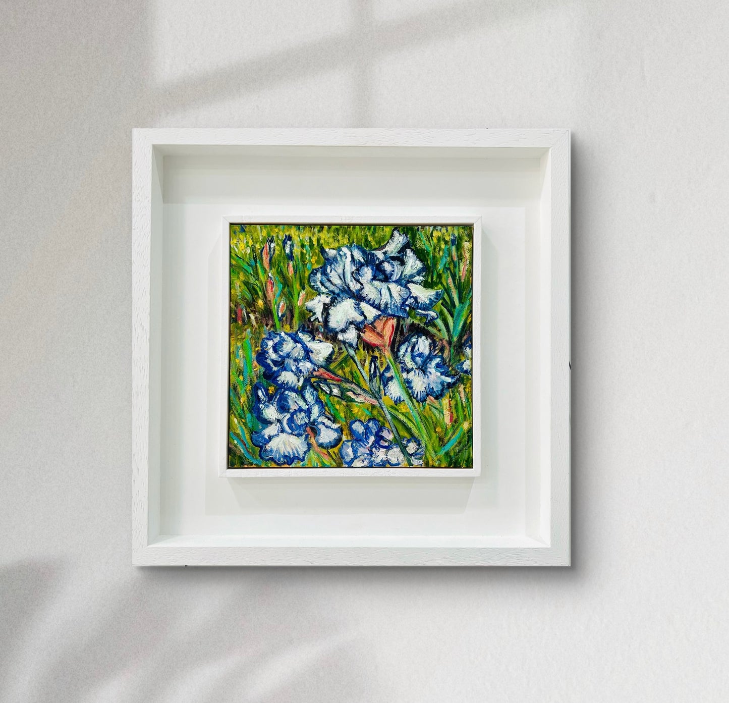 Blue and White Irises