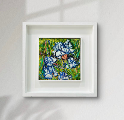 Blue and White Irises