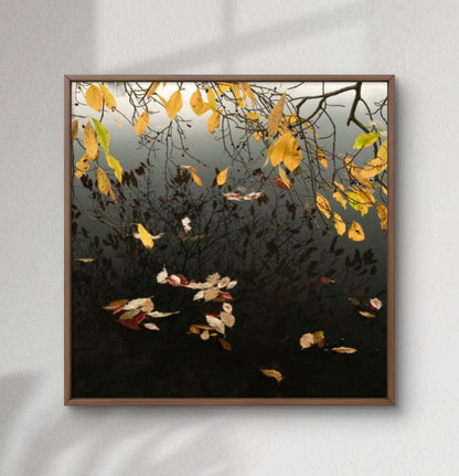 Mirror of Autumn Competition