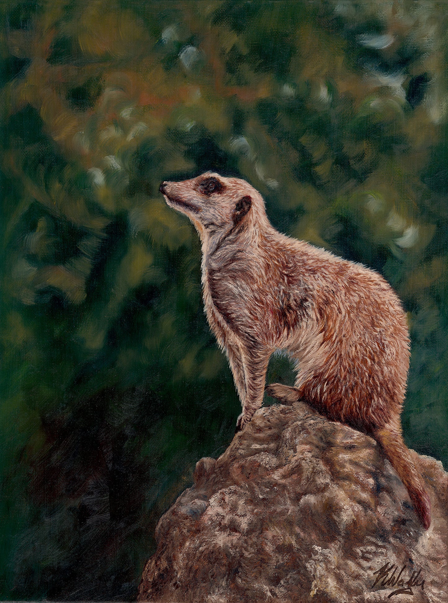 The lookout
