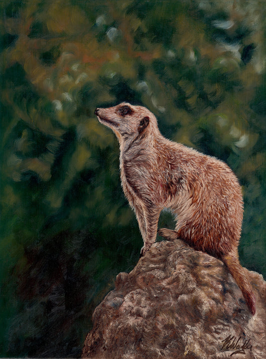 The lookout